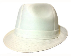 Hattar - Wegener Turner (vit) (Storlek: Large - 59 cm)