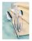  Serving fork Piemont