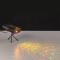  NGS LASER PARTY LIGHTS SPECTRA PRISM