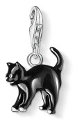 Charm Katt, svart