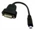  Accell  Adapter