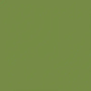 Middagsservett Dunilin Leaf Green 40x40cm