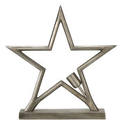  NOEL Julstjärna Råsilver