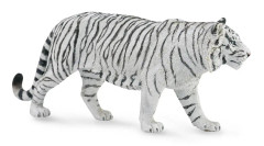 White Tiger