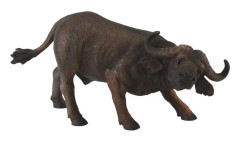 African Buffalo