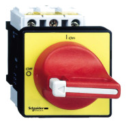 Schneider Main emergency switch 25a