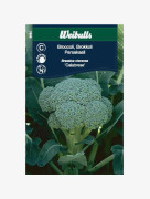Kål, Broccoli