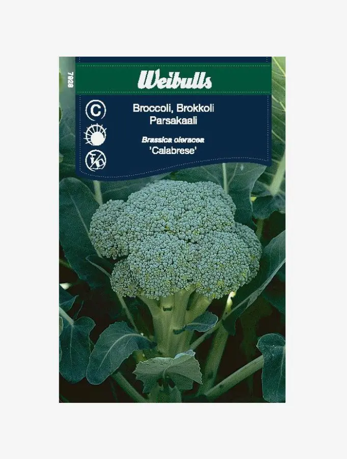 Kål, Broccoli