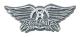  Aerosmith pin