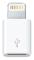 Lightning to Micro USB Adapter