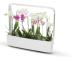  Kitchen Garden TREGREN T12 Vit