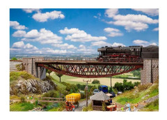 Fish-bellied bridge
