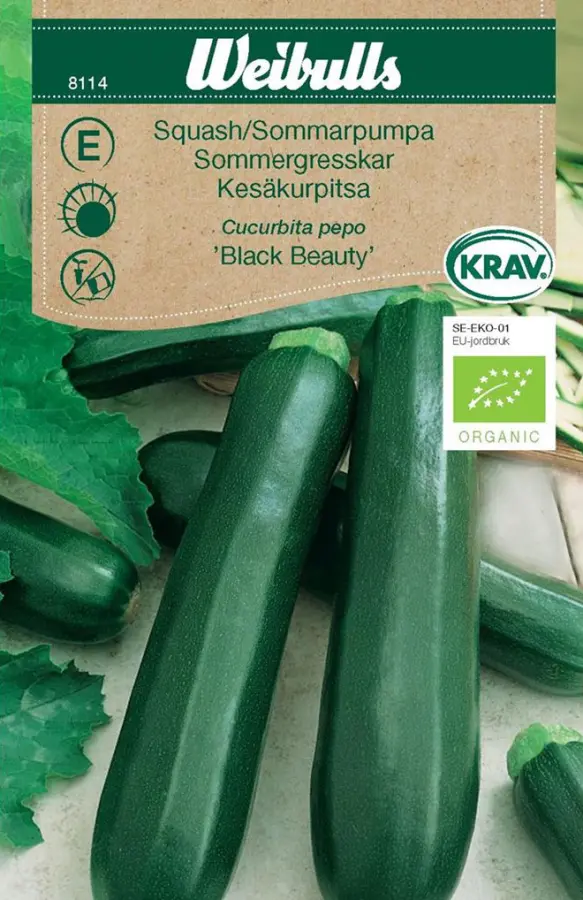 Squash Krav 8114