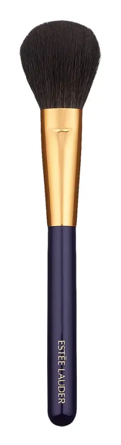 Blush Brush Brush -
