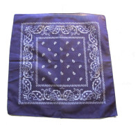 Lila Bandana Paisley Scarf