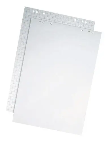  Blädderblock STAPLES blankt 89x77cm 5/FP