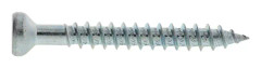 Adjufix Träskruv 6x50mm T25 100st