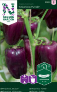 Snackpaprika 'Snacking Purple'