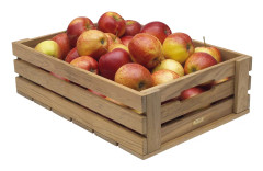 Dania Box 4