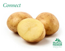 SÄTTPOTATIS STUBBETORP CONNECT 3 KG