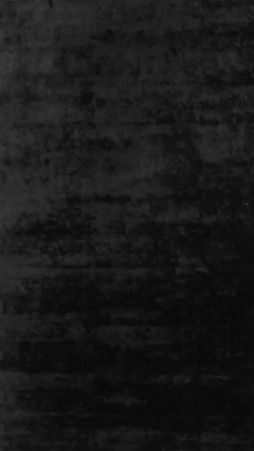 Ryamattor - Cosy (svart) (Storlek: 250 x 350 cm)