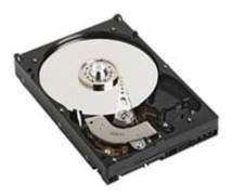 Fujitsu enterprise Hårddisk - 300 GB - 3,5" - 15.000 rpm - Serial Attached SCSI 3 - cache