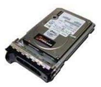 Micro storage - Hårddisk - 300 GB - 15.000 rpm - SCSI - cache