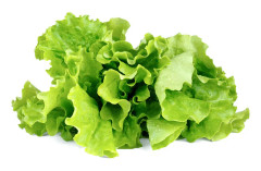 Växtkapslar Click and Grow