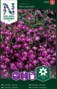 Lobelia Lord Nelson Häng-Red Cascade