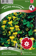 Fjärilskrasse