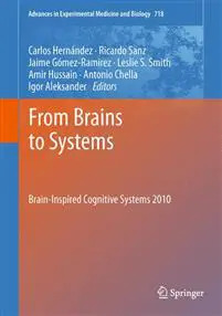 From Brains to Systems