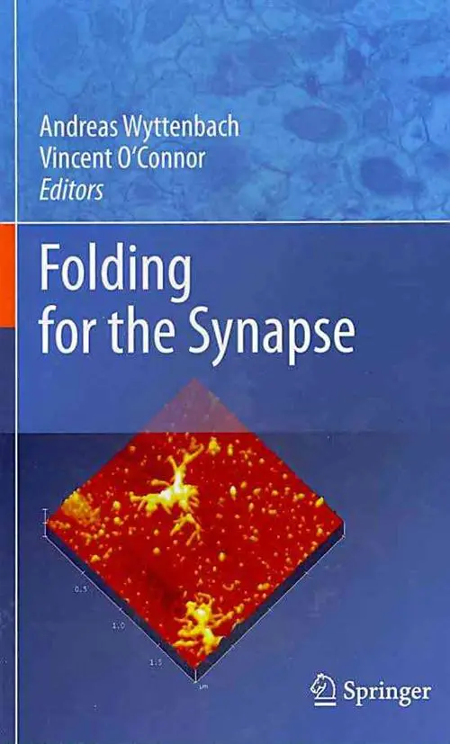 Folding for the Synapse