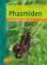 Phasmiden
