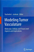 Modeling Tumor Vasculature