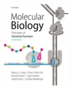 Molecular Biology