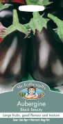 AUBERGINE Black Beauty