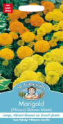 Stor tagetes (afrikansk) 'Sahara' mix, frö
