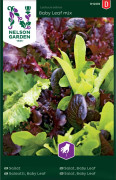 Sallat, Baby Leaf, mix