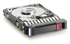 Hewlett Packard Enterprise 300gb 6g Sas 10k Rpm 2.5-Inch Dual Port Enterprise