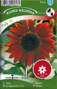  Solros-'ruby' f1 - helianthus annuus