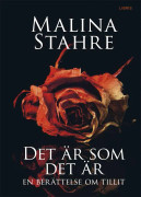 Det är som det är : en berättelse om tillit 9789173871075