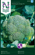  Broccoli Lord Nelson Premium Crop F1