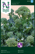 Broccoli 'Apollo F1' frö