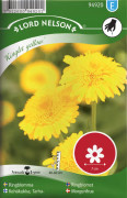 Ringblomma 'Kinglet Yellow' frö