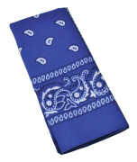 Bristol Novelty Cowboy bandana