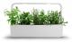  Kitchen Garden TREGREN T12 Vit