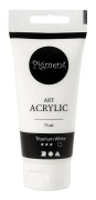 Pigment Art Acrylic Paint SKU 35141