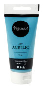 Pigment Art Acrylic Paint SKU