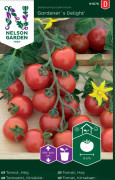  Nelson Tomat, hög-Gardener´s Delight 91676- solanum lycopersicum