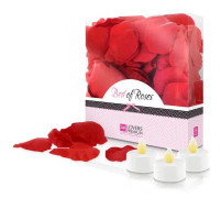  Bed of Roses Red LoversPremium E22002 (100 uds)